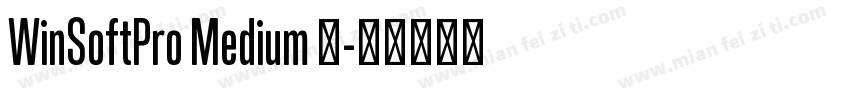 WinSoftPro Medium 中字体转换